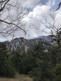 写真 2019-04-29 9 55